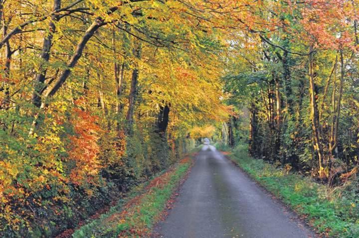 Greenway Guesthouse Mullingar Extérieur photo