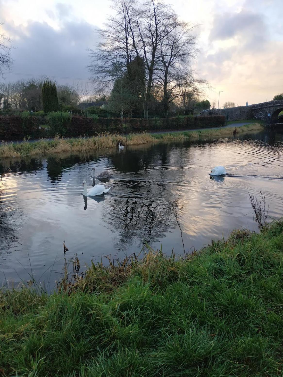 Greenway Guesthouse Mullingar Extérieur photo